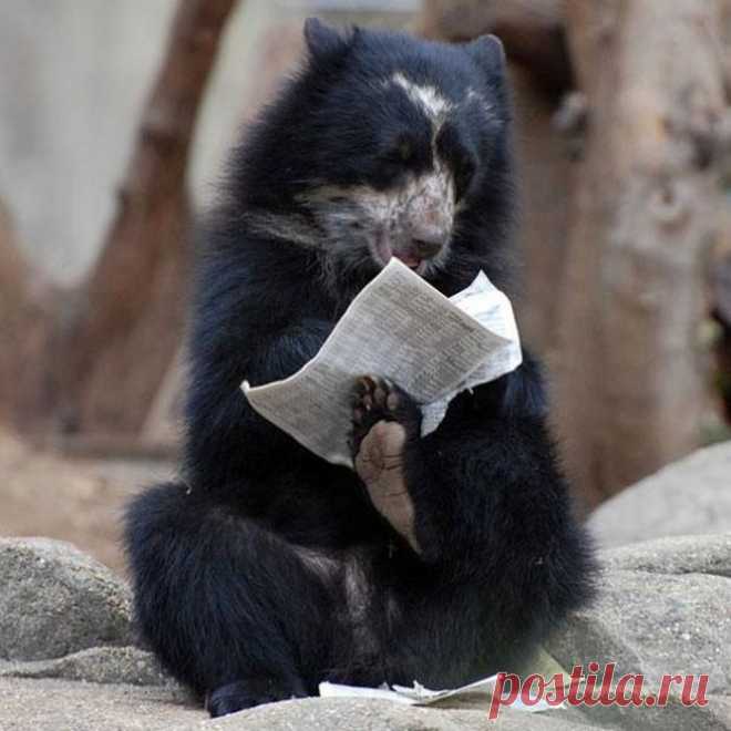 Давайте улыбаться вместе!