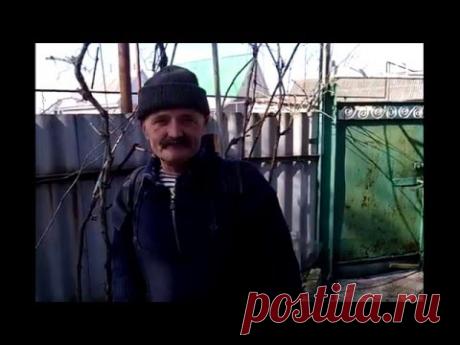 ПЕРВАЯ ВЕСЕННЯЯ ОБРАБОТКА ВИНОГРАДА