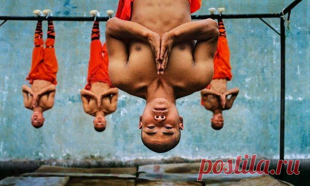 Быть умным - это модно: Китайская мудрость