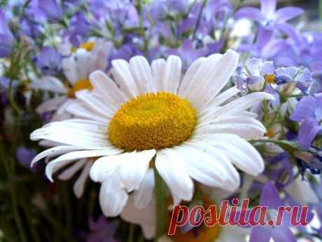 ЛЕЧЕНИЕ ЛАРИНГИТА НАРОДНЫМИ СРЕДСТВАМ / Популярная медицина