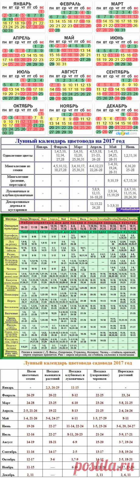 (13) Одноклассники