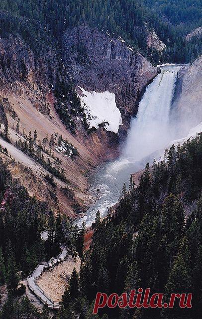 Yellowstone National Park | Adventure is out there!