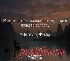 Зигмунд Фрейд и другие великие психологи | Мудрые Слова