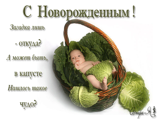 Блог сайта «Приколисты»