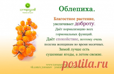 Облепиха