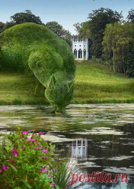 Всего одно фото: кот из выстриженных кустарников — Хитрости жизни