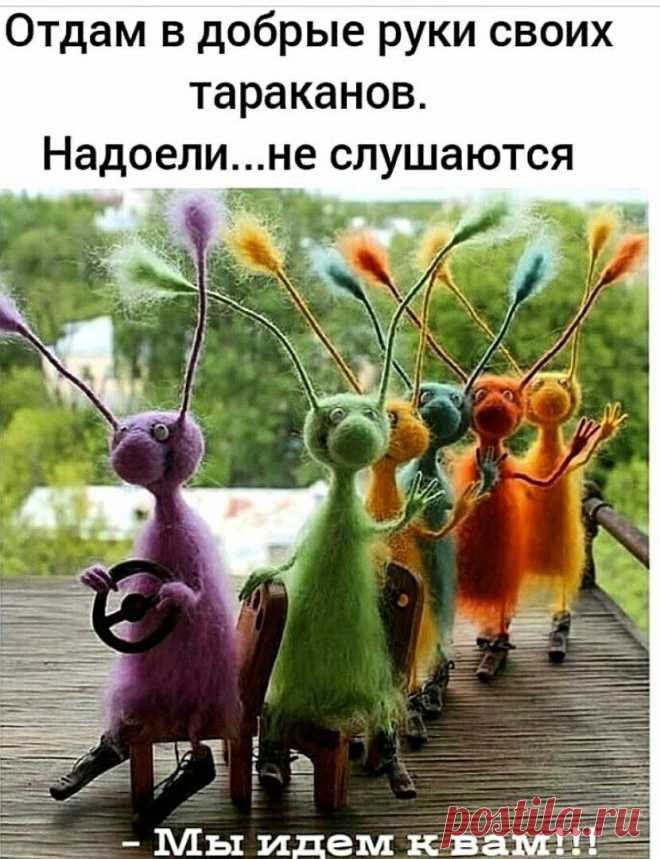 Не сделанный вовремя шаг к примирению перерастает в километры.