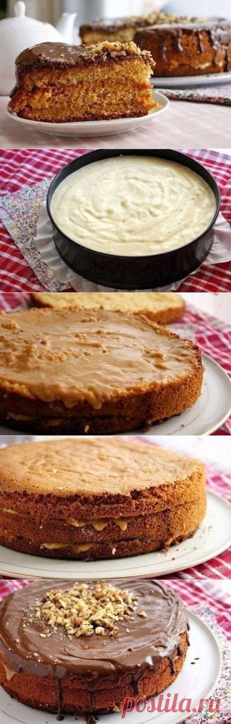 Очень вкусный нежный медовый бисквит + 38 рецептов бисквита