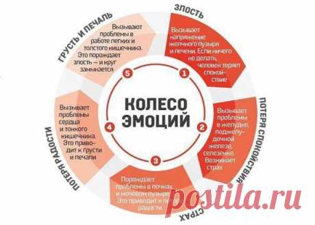 От чего возникают болезни по мнению китайцев | uDuba.com