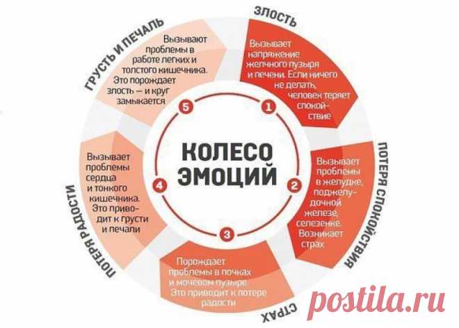 От чего возникают болезни по мнению китайцев | uDuba.com