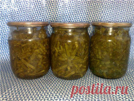 Маринованный зелёный лук с укропом • Другие овощи