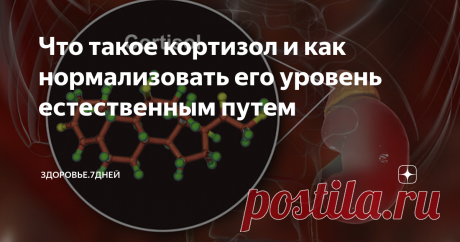 Что такое кортизол и как нормализовать его уровень естественным путем От чего происходит нарушение уровня гормона, отвечающего за адаптационные состояния организма в стрессовых ситуациях.