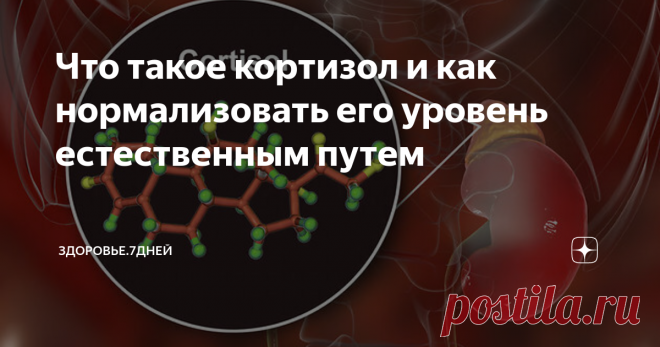 Что такое кортизол и как нормализовать его уровень естественным путем От чего происходит нарушение уровня гормона, отвечающего за адаптационные состояния организма в стрессовых ситуациях.
