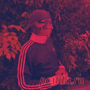 Konstantin Kobra Snake Boutique AUG2025 - HypeDJ.top