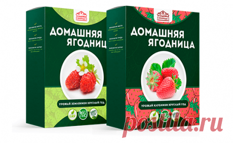 "Кладовая природы"