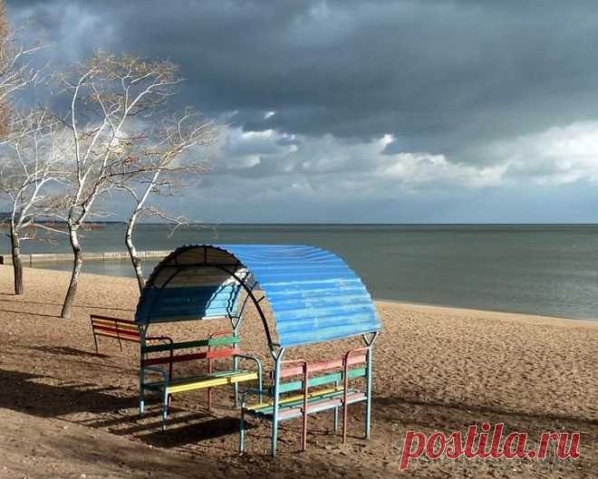 Чайки над морем!