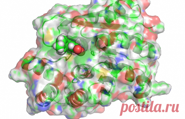 10 способов манипулировать человеческим мозгом | Наука и жизнь