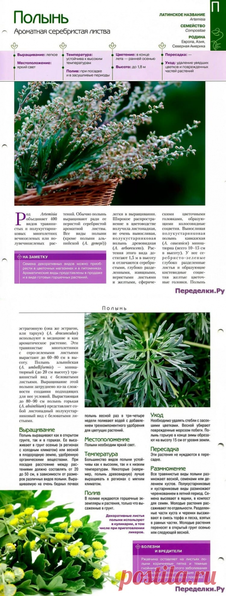 Полынь * Переделки.РуПеределки.Ру