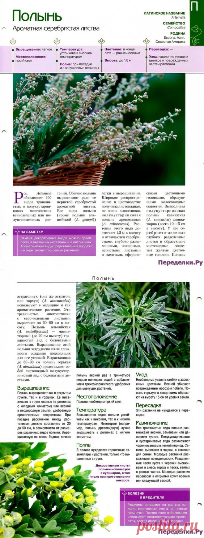 Полынь * Переделки.РуПеределки.Ру