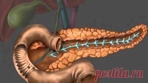 Рецепт лечения панкреатита от знакомого доктора! 

Большая к вам просьба передать бесконечно великую благодарность врачу-психотерапевту из Челябинской области Елене Александровне Виноградовой за рецепт лечения панкреатита настойкой прополиса. Я мучилась этой болезнью 19 лет — сейчас мне 74.

Лечиться стала немедленно после публикации статьи в газете. И вот уже много лет живу без болей.

Лечение простое и дешевое: 20 капель 10%-ной настойки прополиса (есть в аптеках) накапа...