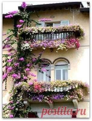 Pinterest: инструмент для поиска и хранения интересных идей