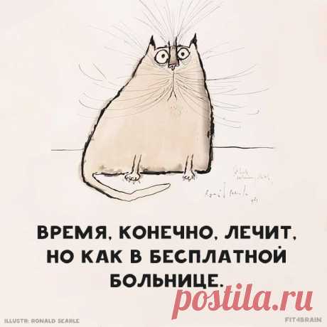 Истина 👌