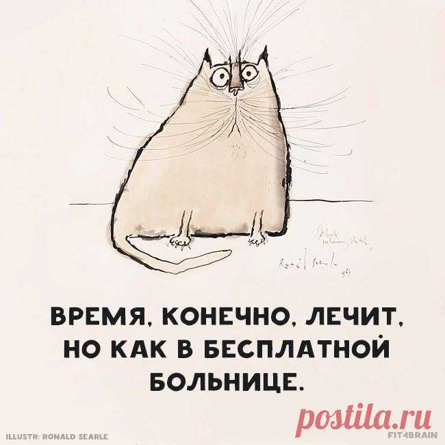 Истина 👌