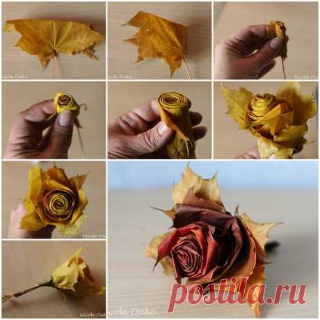 DIY Pretty Maple Leaf Rose Flower | BeesDIY.com