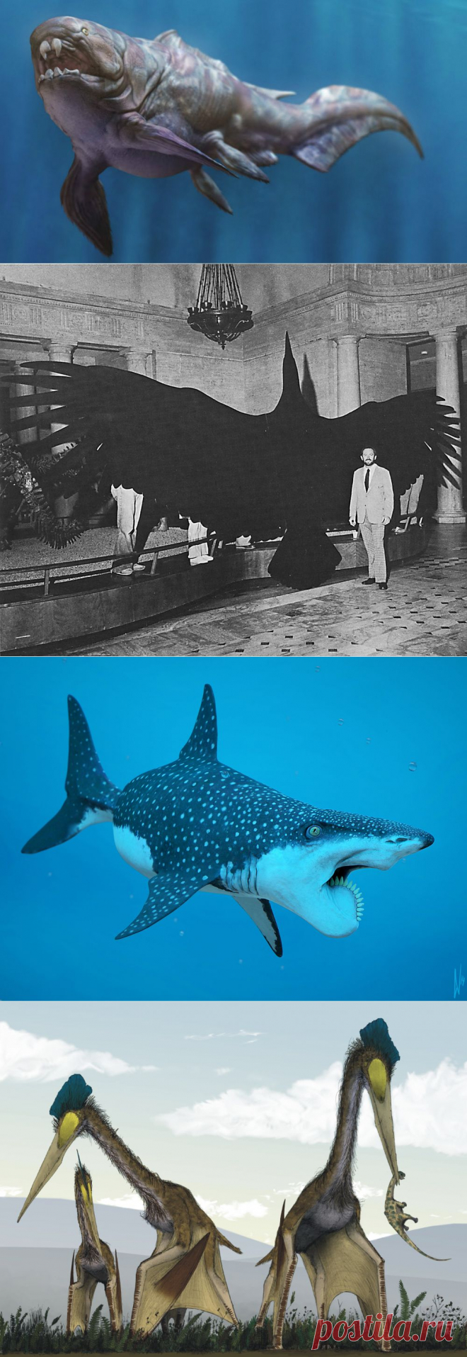 10 животных, благодаря вымиранию которых мы всё ещё живы