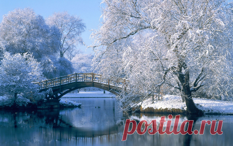 зимние обои на рабочий стол Разное Обои Картинки Фотографии winter hd desktop wallpapers  new fresh images of winter widescreen