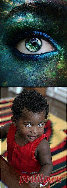 blue eyed mystery | Windows to the Soul