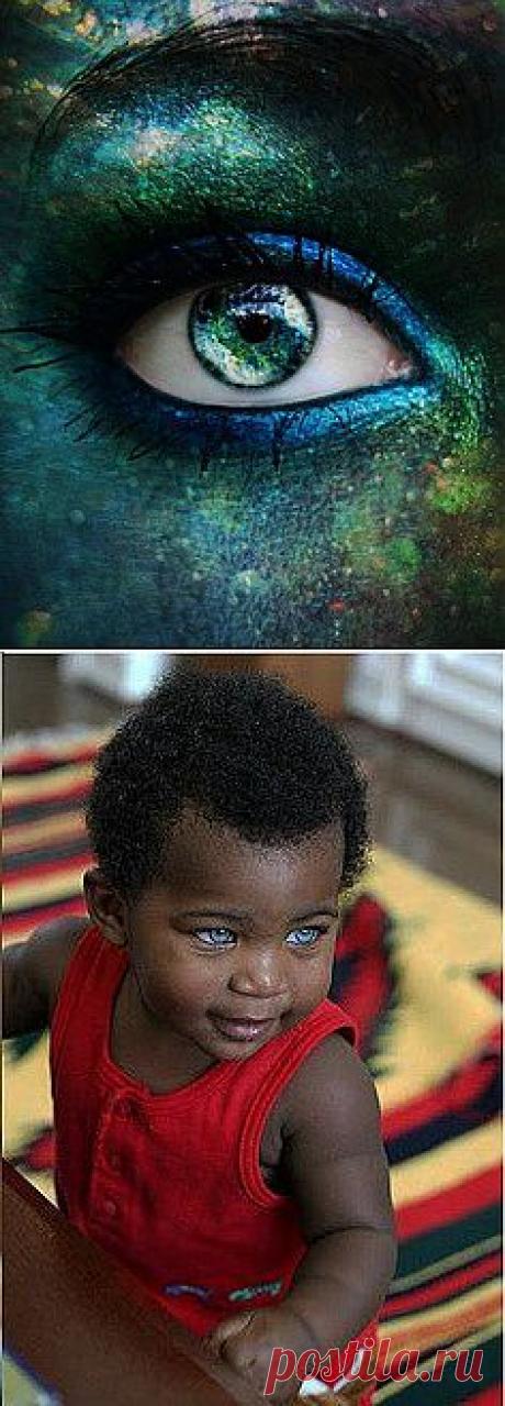 blue eyed mystery | Windows to the Soul