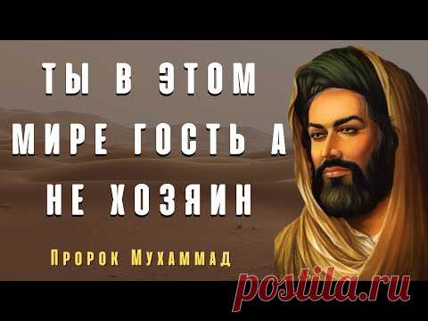 Забытые Цитаты Пророка Мухаммада Которые Проникают в Самое Сердце. Цитаты Великих Людей.
