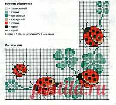 Божьи коровки.