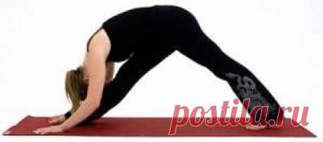Йога для начинающих за 30 дней: Ежедневная растяжка | Упражнения йоги.