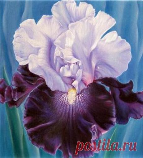 Пейзажи природы