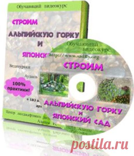 Строим альпийскую горку и японский сад: видео уроки, обучение