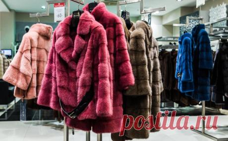 Нехватка импортного меха вынудила магазины сократить ассортимент шуб. Из-за санкций и массового истребления норок в Дании производители шуб в России столкнулись с нехваткой меха и ростом цен на сырье. Это уже привело к сокращению ассортимента магазинов, у которых и так упал спрос на меховые изделия