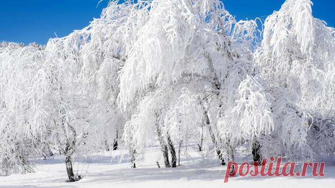 Картинки зимних пейзажей (38 фото) ⭐ Забавник