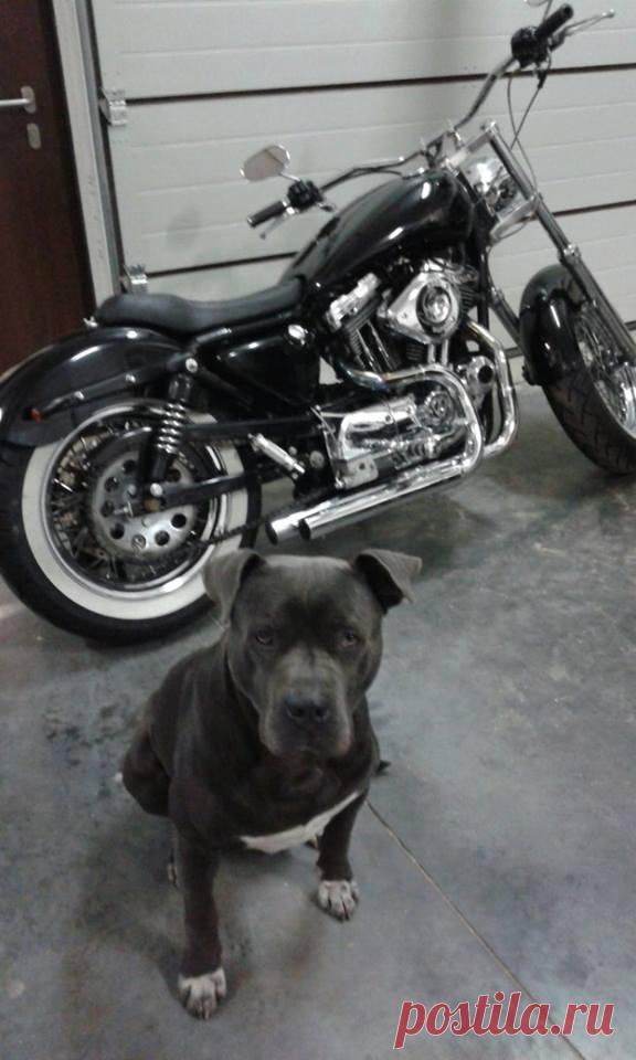 В этот день