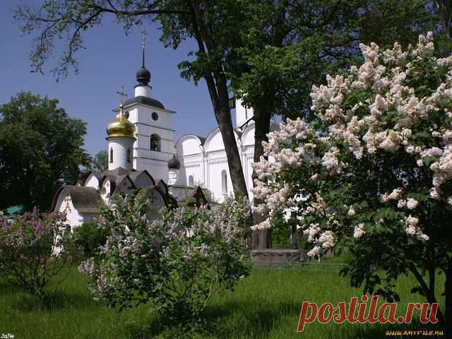 ...КОПИЛКА МУДРЫХ МЫСЛЕЙ...
Леонид Борисович