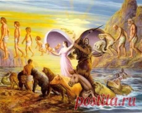 Круговорот бытия и иные формы жизни | Шамбала