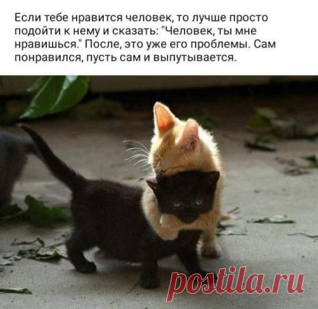 Шальная императрица