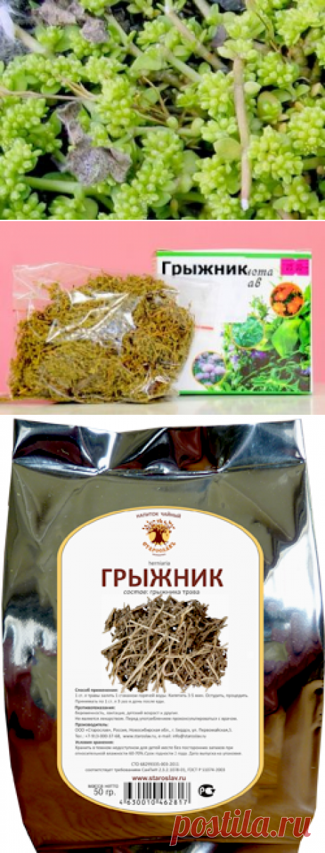 Грыжник - трава в рецептах народной медицины