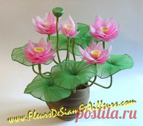 Цветы из капрона.