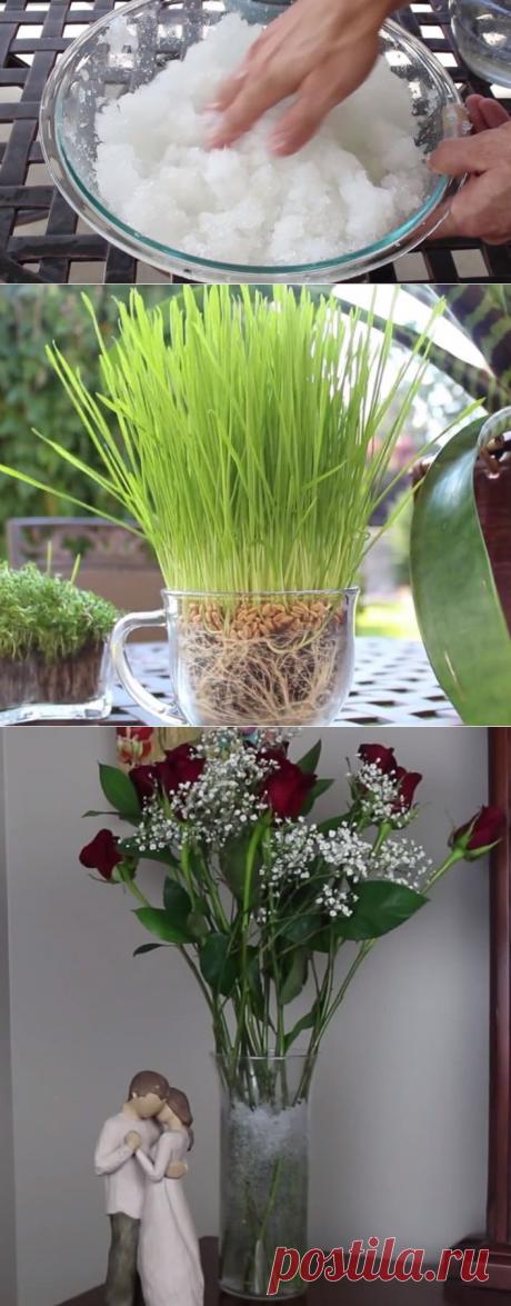 Этот человек использует подгузники в садоводстве. То, до чего он додумался - просто гениально! | Кому за пятьдесят