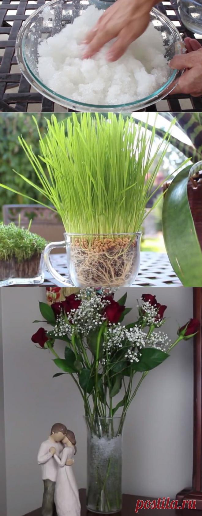 Этот человек использует подгузники в садоводстве. То, до чего он додумался - просто гениально! | Кому за пятьдесят