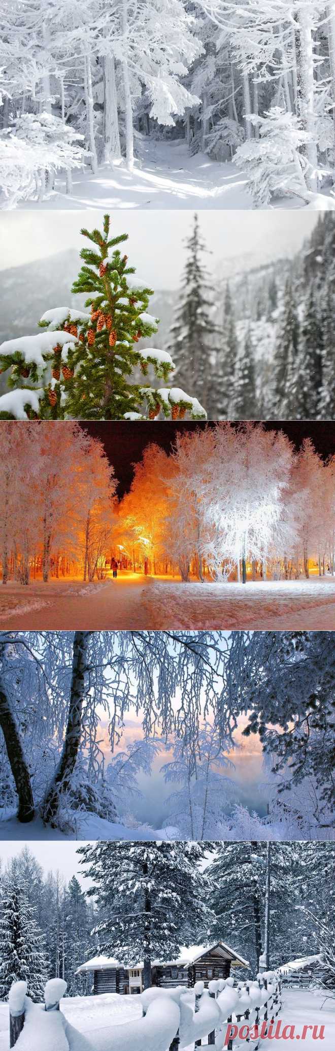 Красивые зимние фото...-