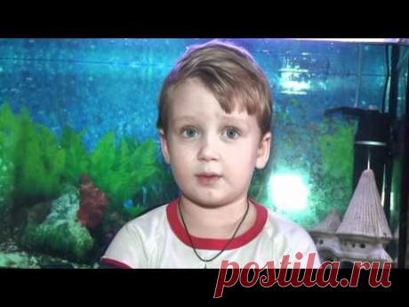 4-ЛЕТНИЙ ВУНДЕРКИНД.mp4