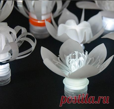 Сара Тернер - Пластиковые бутылочные чайные огни